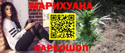 гашик Малоярославец