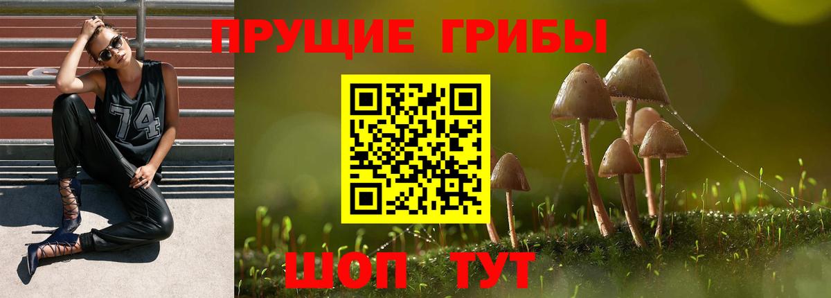 Галлюциногенные грибы Cubensis Елабуга